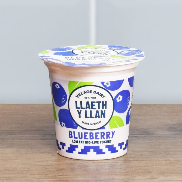 Blueberry Yogurt